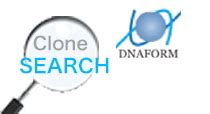 DNAFORM Clone Search.